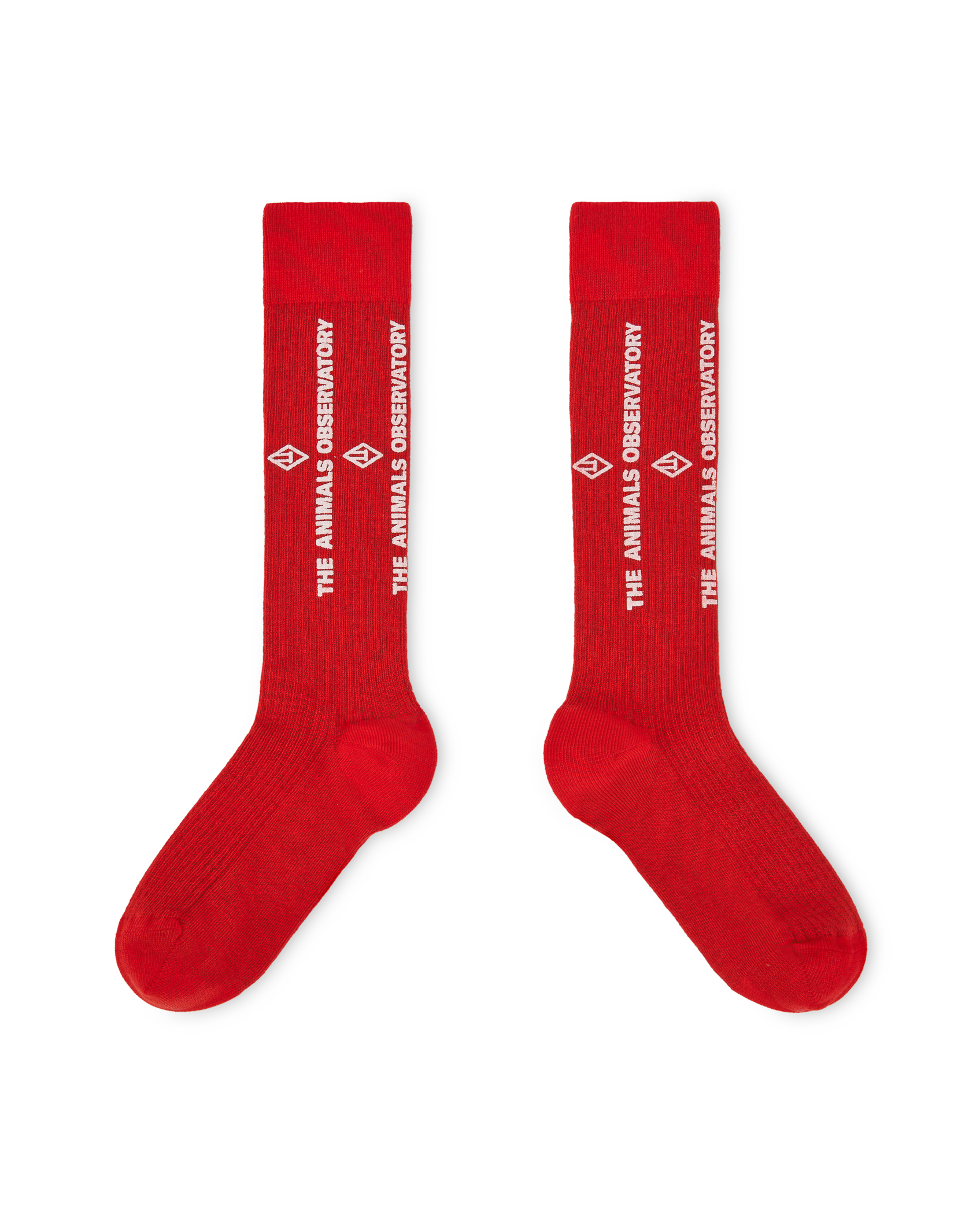 【The Animals Observatory】Worm Socks – Happen Upon