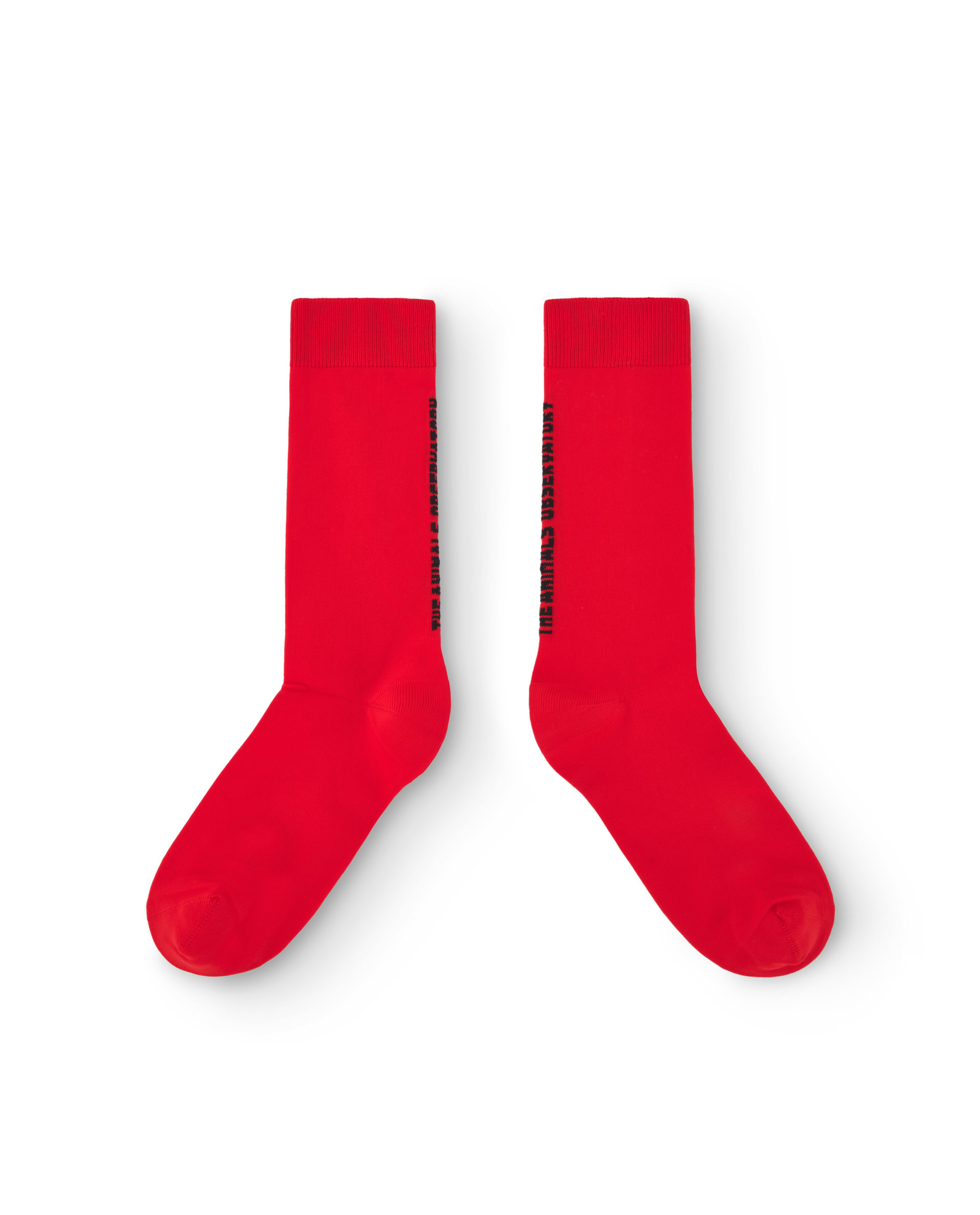 【The Animals Observatory】SNAIL KID SOCKS Red